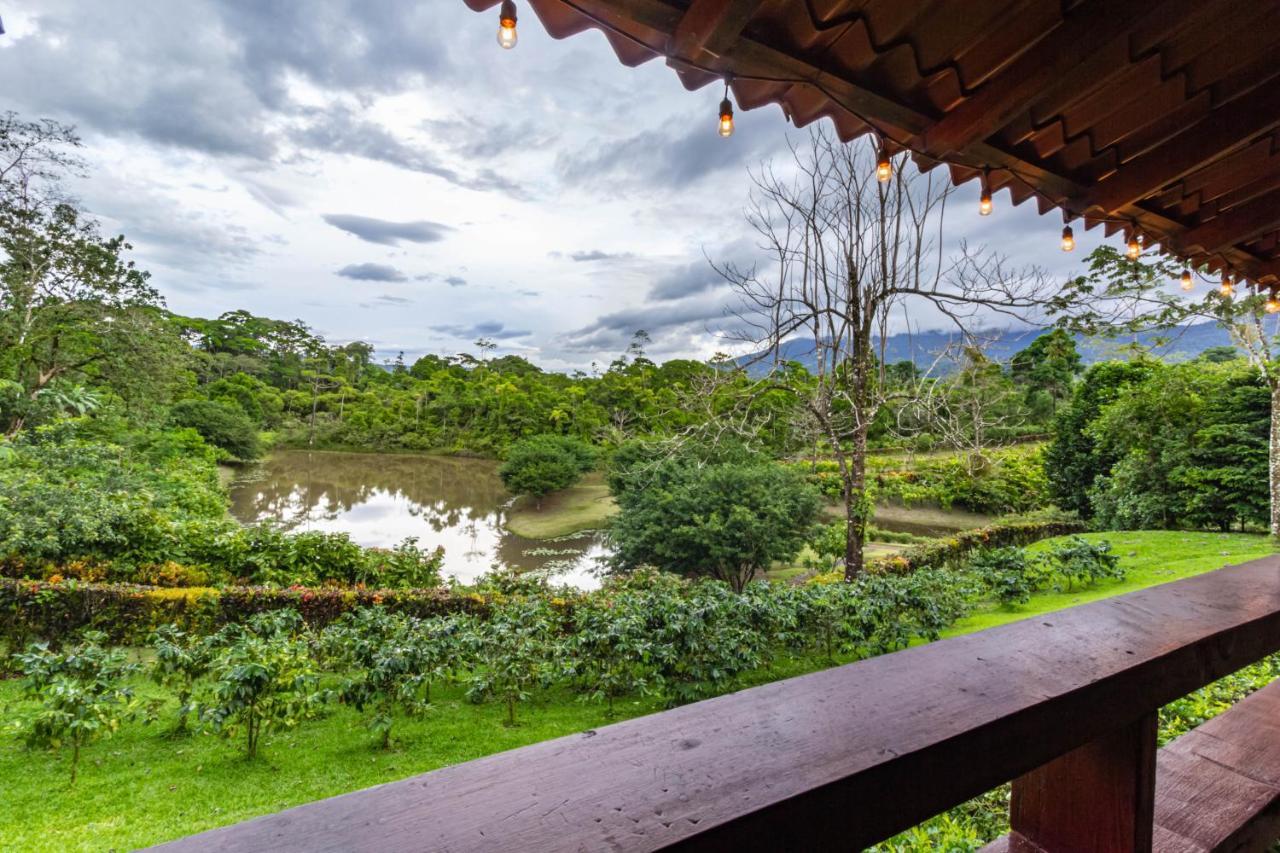 La Anita Rain Forest Hotel Colonia Dos Rios Luaran gambar