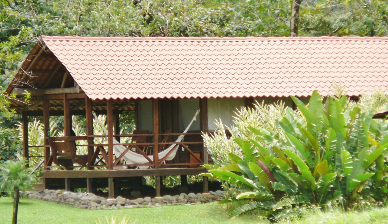 La Anita Rain Forest Colonia Dos Rios Luaran gambar