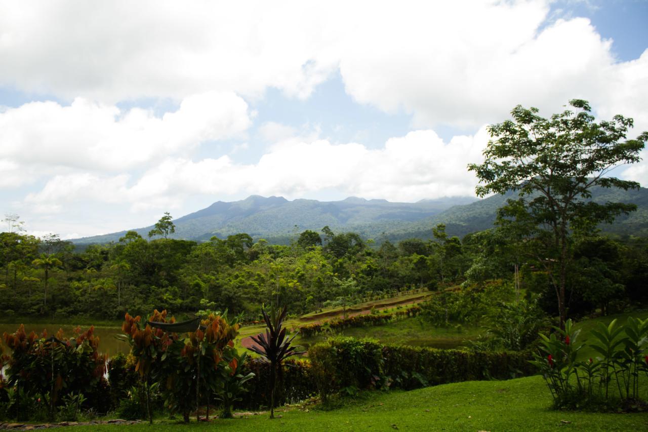 La Anita Rain Forest Hotel Colonia Dos Rios Luaran gambar