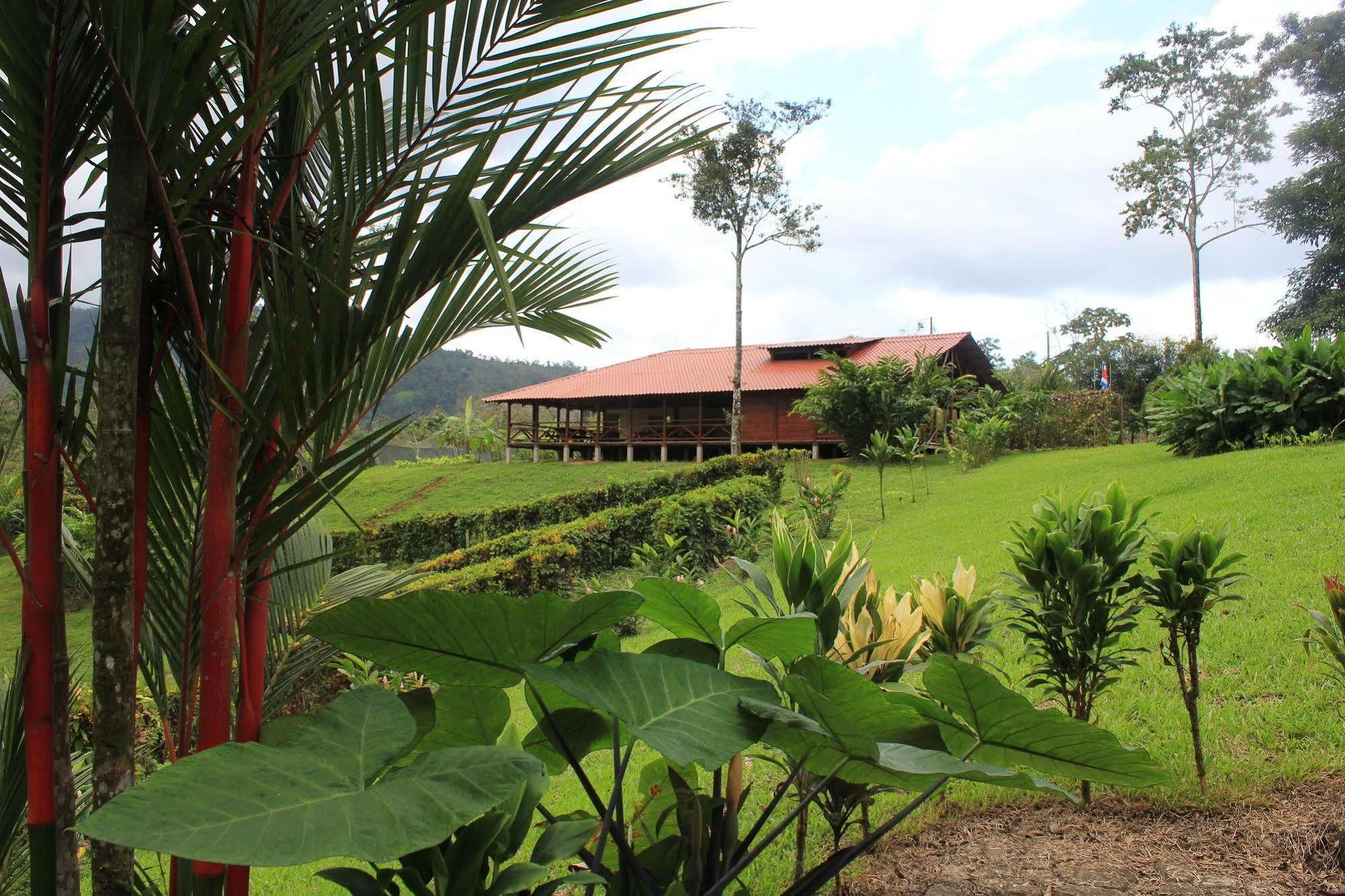 La Anita Rain Forest Colonia Dos Rios Luaran gambar