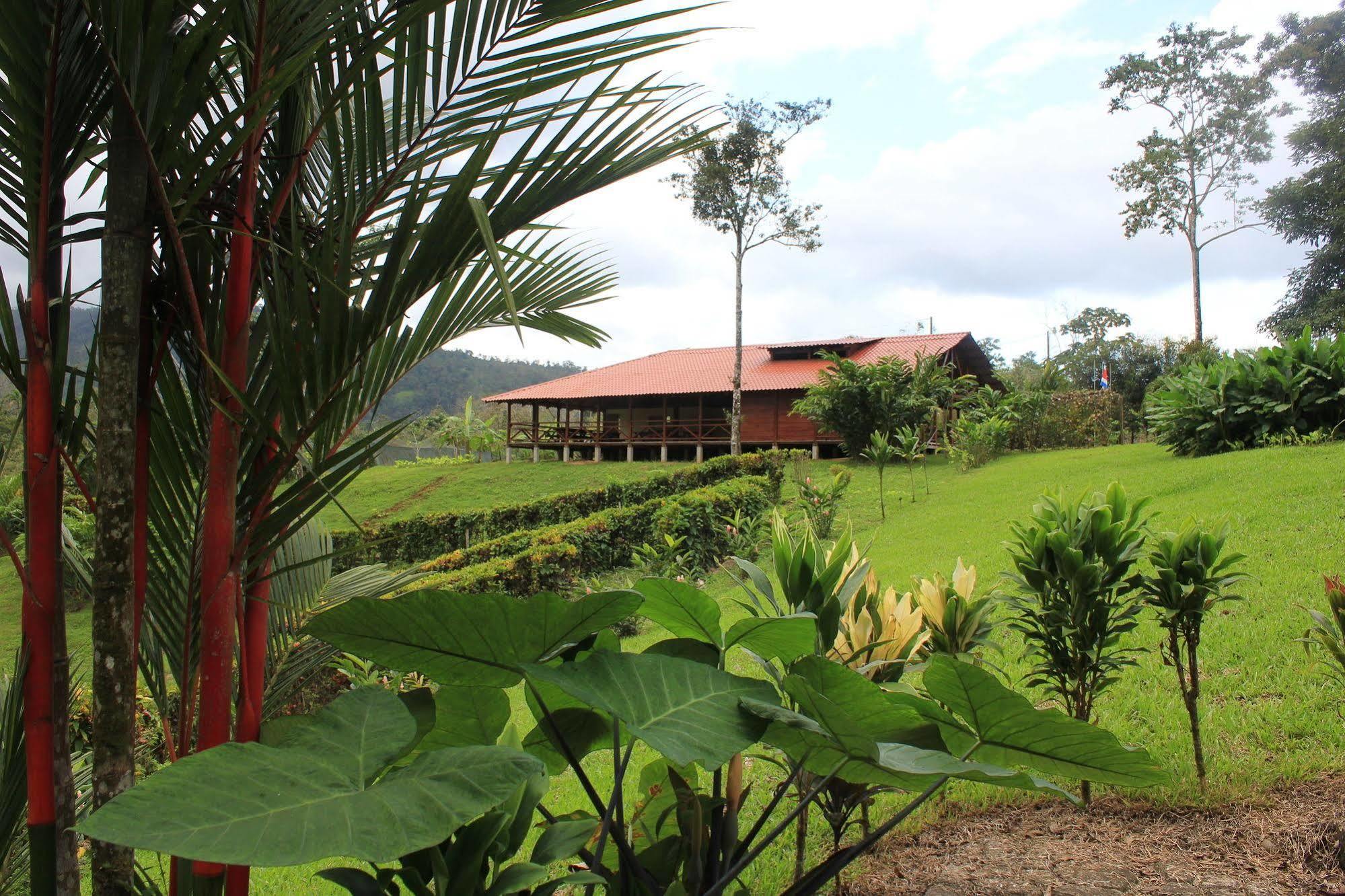 La Anita Rain Forest Hotel Colonia Dos Rios Luaran gambar